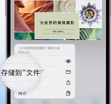 塔河apple维修中心分享iPhone文件应用中存储和找到下载文件