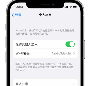 塔河apple服务站点分享iPhone上个人热点丢失了怎么办 