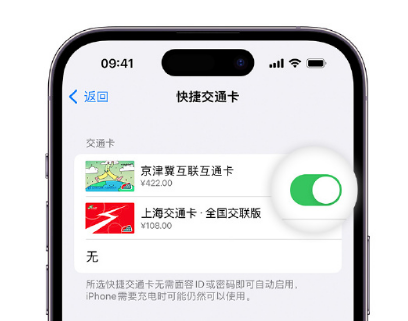 塔河apple维修点分享iPhone上更换Apple Pay快捷交通卡手绘卡面 