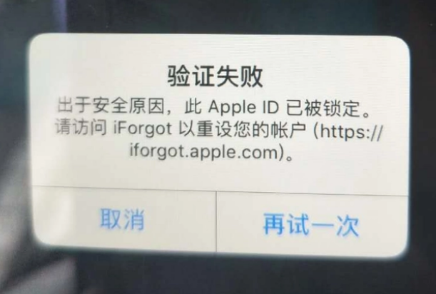 塔河iPhone维修分享iPhone上正常登录或使用AppleID怎么办 