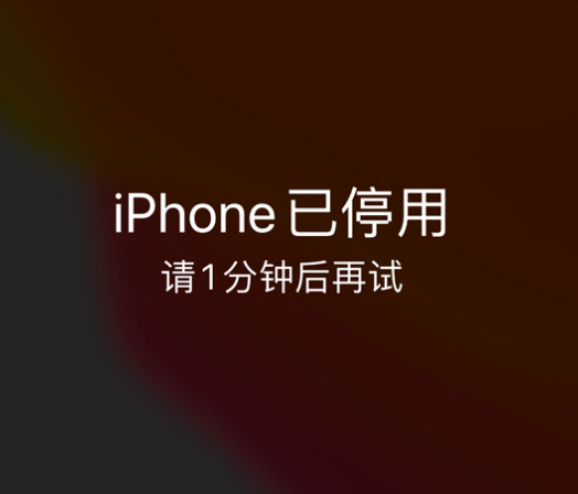 塔河苹果手机维修分享:iPhone 显示“不可用”或“已停用”怎么办？还能保留数据吗？ 