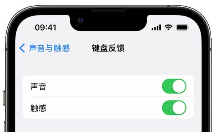 塔河苹果手机维修分享iPhone 14触感键盘使用方法 