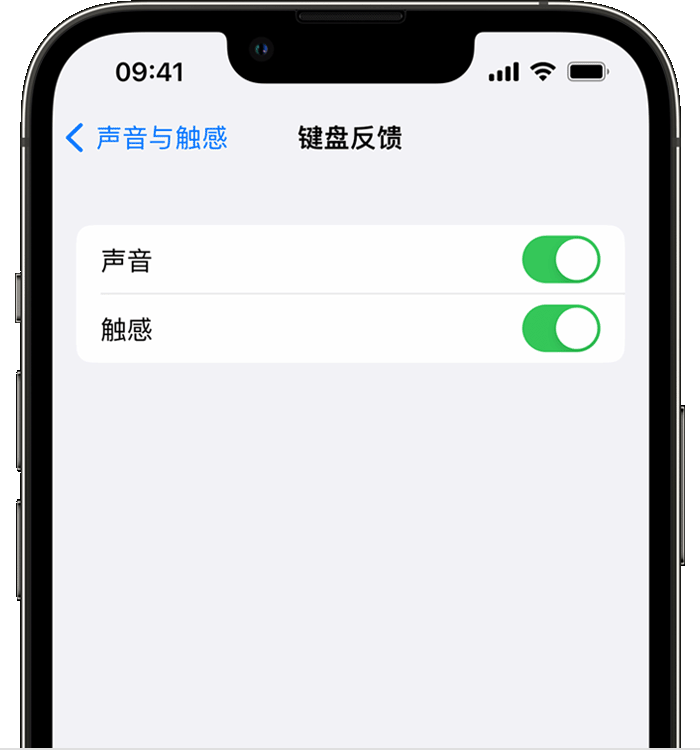 塔河苹果14维修店分享如何在 iPhone 14 机型中使用触感键盘 