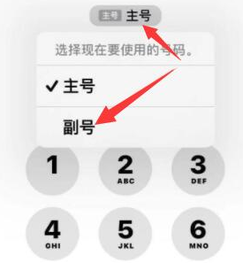 塔河苹果14维修店分享iPhone 14 Pro Max使用副卡打电话的方法 