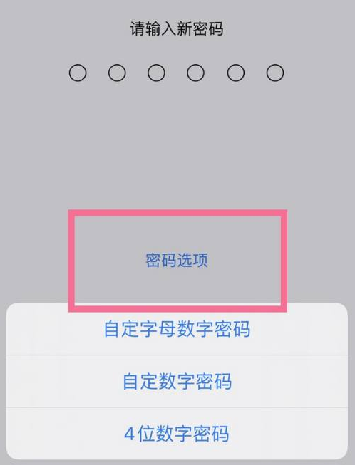 塔河苹果14维修分享iPhone 14plus设置密码的方法 