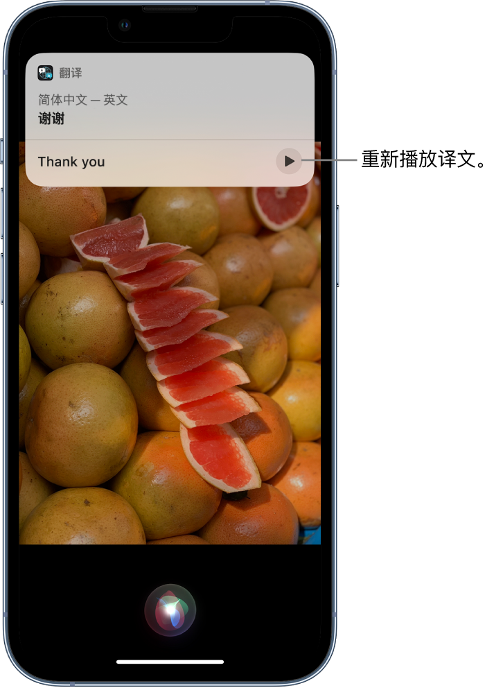 塔河苹果14维修分享 iPhone 14 机型中使用 Siri：了解 Siri 能帮你做什么 