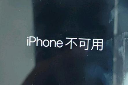 塔河苹果服务网点分享锁屏界面显示“iPhone 不可用”如何解决 