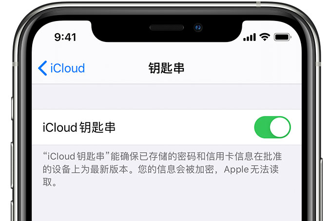 塔河苹果手机维修分享在 iPhone 上开启 iCloud 钥匙串之后会储存哪些信息 