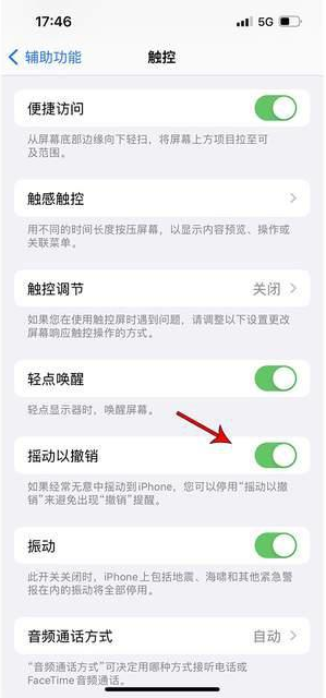 塔河苹果手机维修分享iPhone手机如何设置摇一摇删除文字 