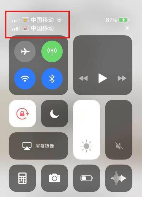 塔河苹果手机维修分享为 iPhone 12 双卡设置标签 