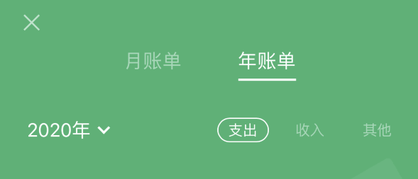塔河苹果手机维修分享如何在 iPhone 上查看支付宝和微信年支出账单 